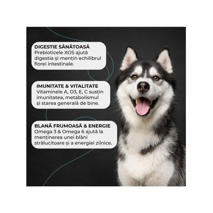 hrana-uscata-caini-adulti-VIVO-SUPER-PREMIUM-all-breeds-vita-10kg-AgriUrsan [4]