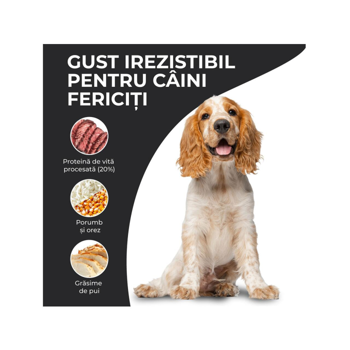 hrana-uscata-caini-adulti-VIVO-SUPER-PREMIUM-all-breeds-vita-10kg-AgriUrsan [3]