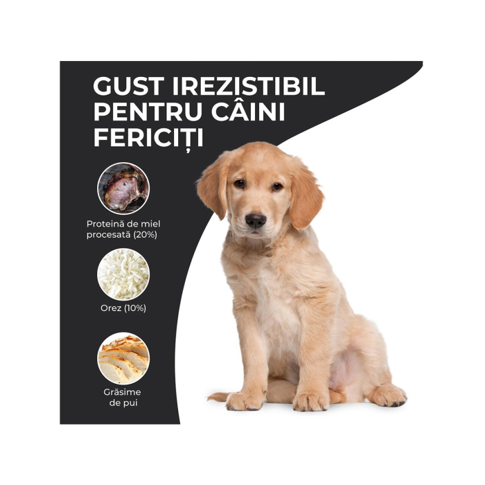 hrana-uscata-junior-VIVO-SUPER-PREMIUM-medium-large-miel-orez-10kg-AgriUrsan [3]