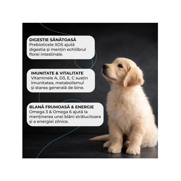 hrana-uscata-junior-VIVO-SUPER-PREMIUM-medium-large-miel-orez-10kg-AgriUrsan [4]