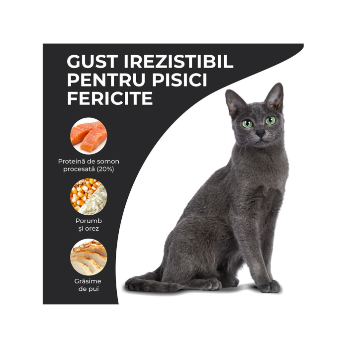 hrana-uscata-pisici-adulte-VIVO-SUPER-PREMIUM-pui-somon-10kg-AgriUrsan [5]