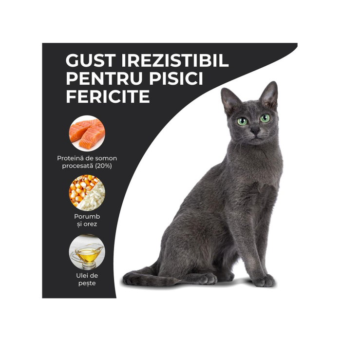 hrana-uscata-pisici-VIVO-SUPER-PREMIUM-skincare-somon-10kg-AgriUrsan [3]