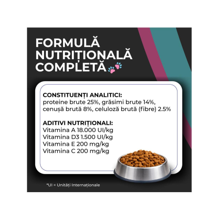 hrana-uscata-caini-adulti-VIVO-SUPER-PREMIUM-miel-somon-10kg-AgriUrsan [5]