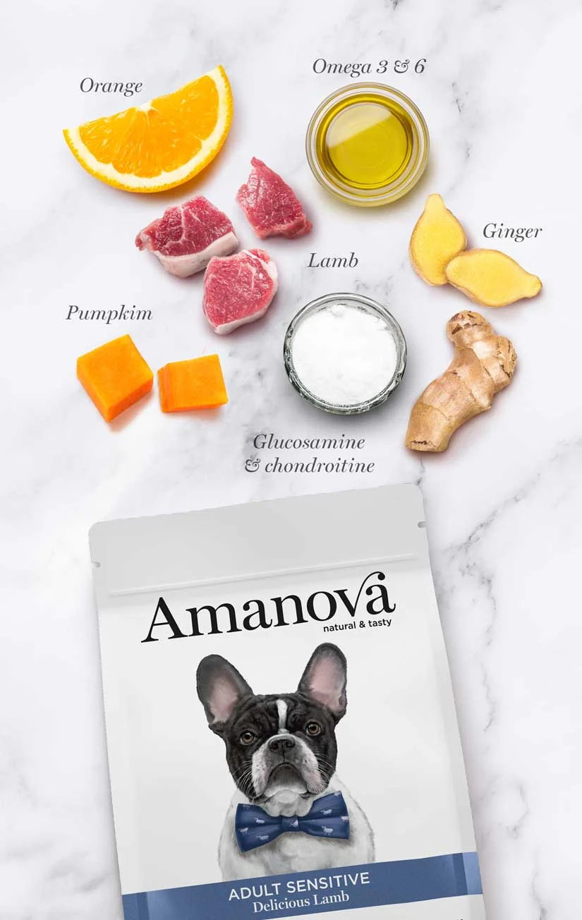 Hrana Uscata Caine Adult, AMANOVA Sensitive, Hipoalergenic, Miel, 10kg [1]