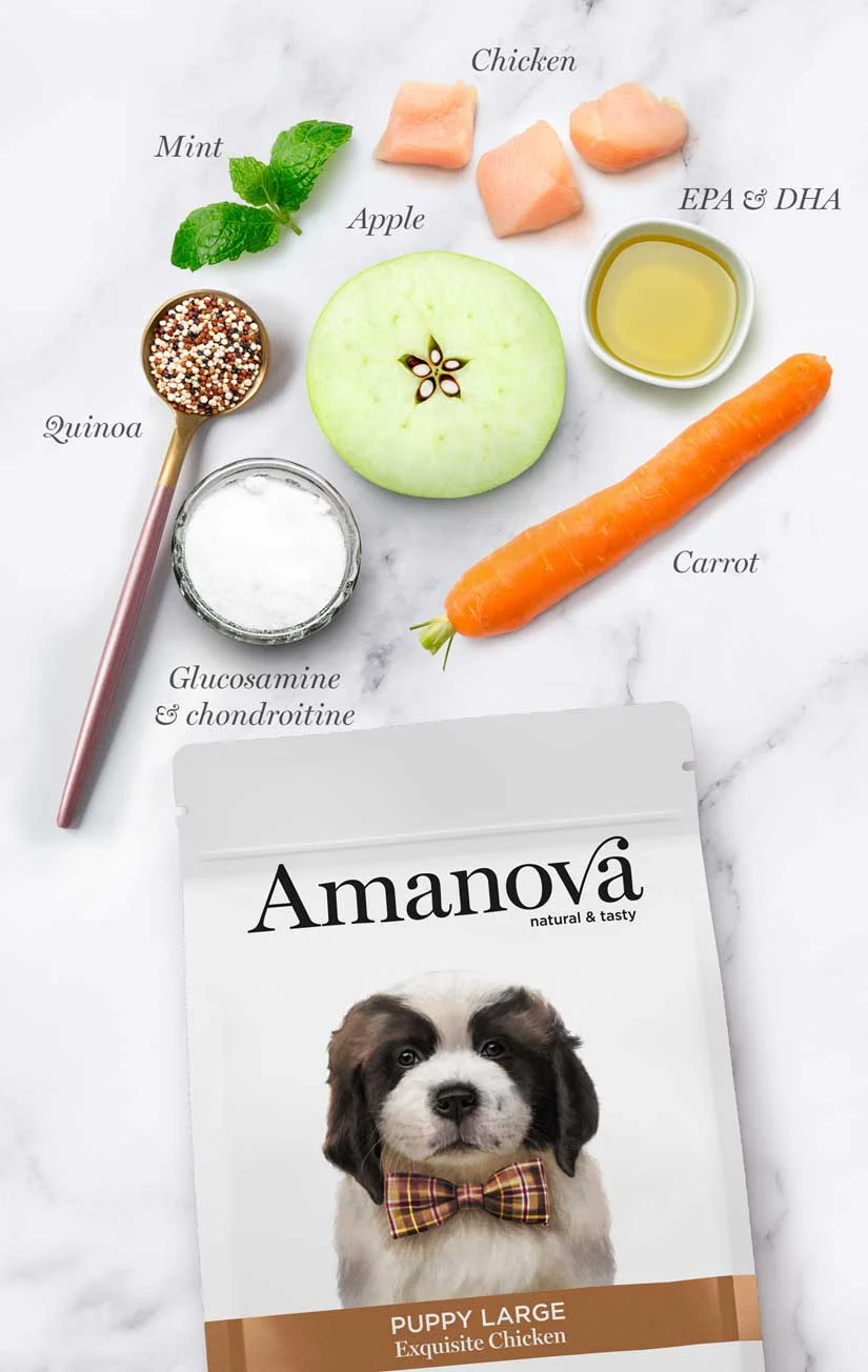 Hrana uscata caine Puppy AMANOVA Hipoalergenic, Talie Mare, Pui, 12 kg [1]