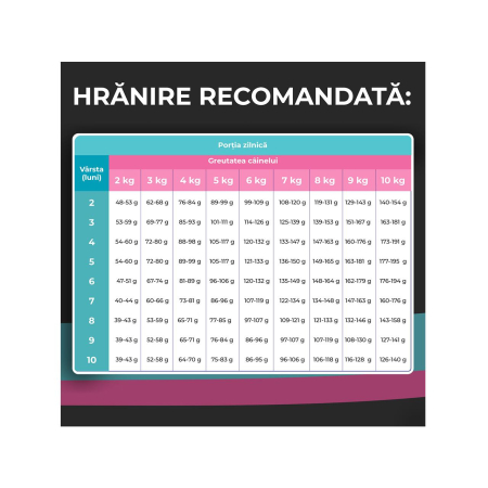 hrana-uscata-caini-junior-VIVO-SUPER-PREMIUM-mini-small-pui-AgriUrsan [4]