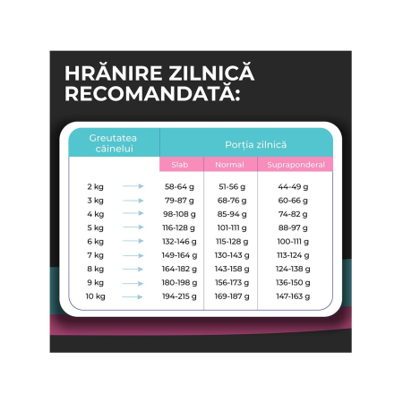 hrana-uscata-caini-adulti-VIVO-SUPER-PREMIUM-mini-small-miel-orez-10kg-AgriUrsan [4]