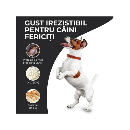 hrana-uscata-caini-adulti-VIVO-SUPER-PREMIUM-mini-small-miel-orez-10kg-AgriUrsan [2]