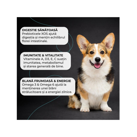 hrana-uscata-caini-adulti-VIVO-SUPER-PREMIUM-mini-small-miel-orez-10kg-AgriUrsan [3]