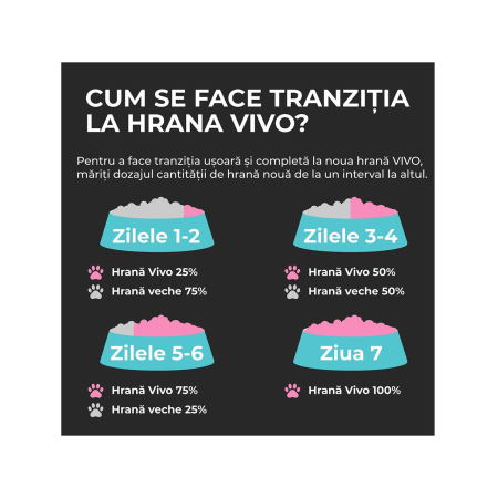 hrana-uscata-pui-pisica-VIVO-SUPER-PREMIUM-junior-pui-10kg-AgriUrsan [7]