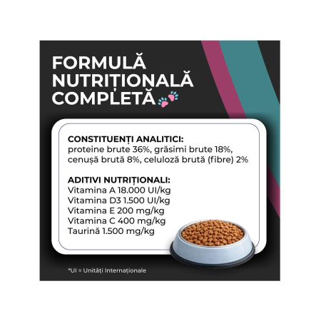 hrana-uscata-pui-pisica-VIVO-SUPER-PREMIUM-junior-pui-10kg-AgriUrsan [5]