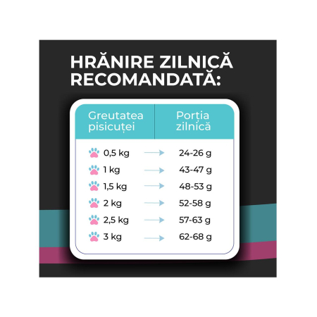 hrana-uscata-pui-pisica-VIVO-SUPER-PREMIUM-junior-pui-10kg-AgriUrsan [4]