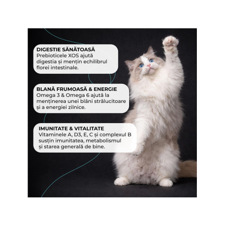 hrana-uscata-pisici-VIVO-SUPER-PREMIUM-skincare-somon-10kg-AgriUrsan [3]