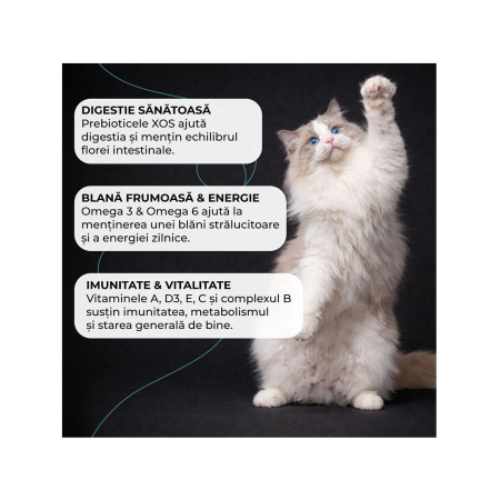 hrana-uscata-pisici-VIVO-SUPER-PREMIUM-sterilized-pui-10kg-AgriUrsan [3]