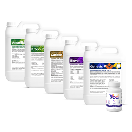 Pachete tehnologice - Pachet Nutritie Porumb – 10 ha (Genesis P + Kropp Top + Amarillo + Carbon 50 + Eleven + Yod)