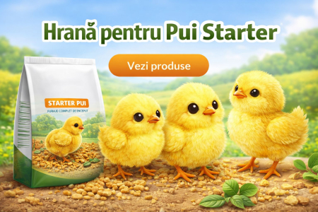 Hrană Starter pentru Pui Creștere Sănătoasă de la Prima Zi