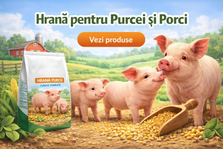 Hrană pentru Purcei și Porci – Creștere Rapidă și Sănătoasă