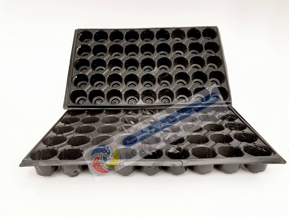 Tavite alveolare 70-104 [3]