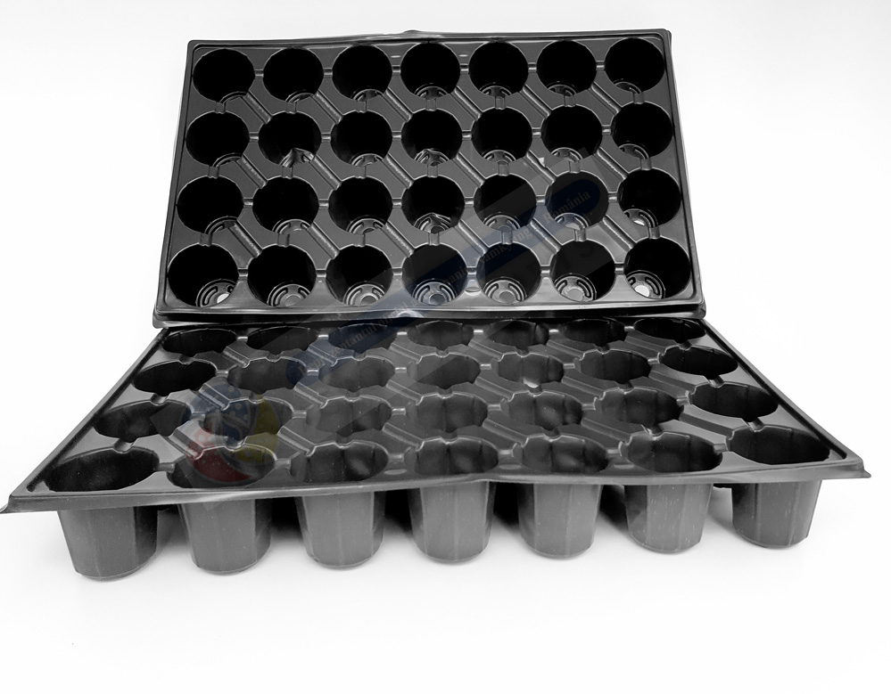 Tavite alveolare 70-104 [2]