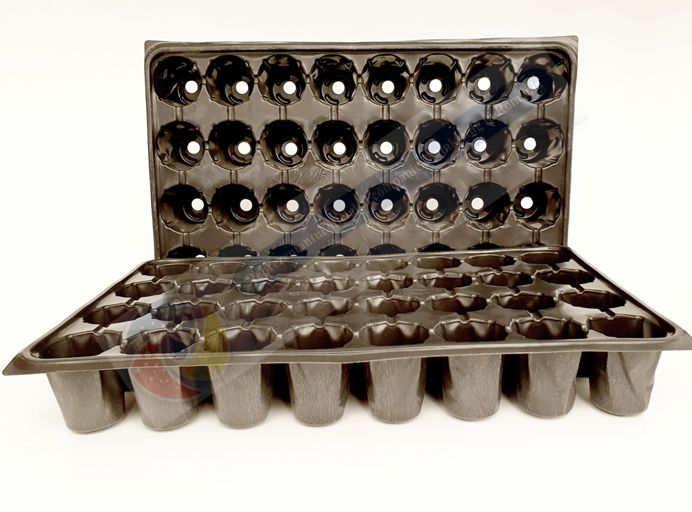Tavite alveolare 70-104 [4]