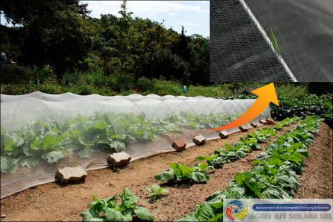 Plasa protectie insecte, 80m tuta absoluta/trips [8]