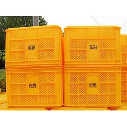 Altele - Ladita din plastic, mare
