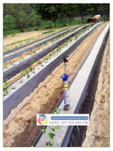Plantator manual rasad si cartofi [2]
