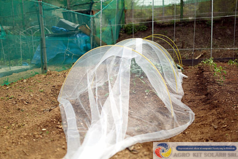 Plasa protectie insecte, 80m tuta absoluta/trips [5]