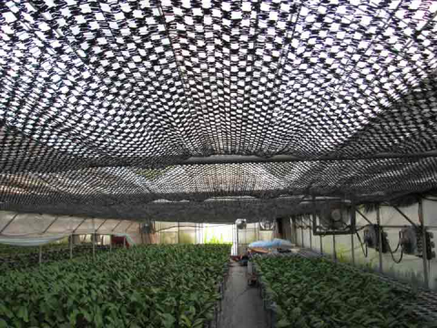 Plasa umbrire 8m x 50m, 90% [2]