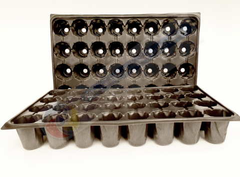 Tavite alveolare 70-104 [3]