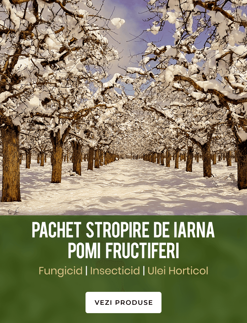 Pachete pomi fructiferi iarna