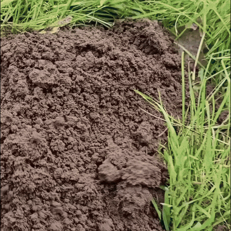 Stop Cârtiță - repelent natural concentrat împortiva cârtiţelor [1]