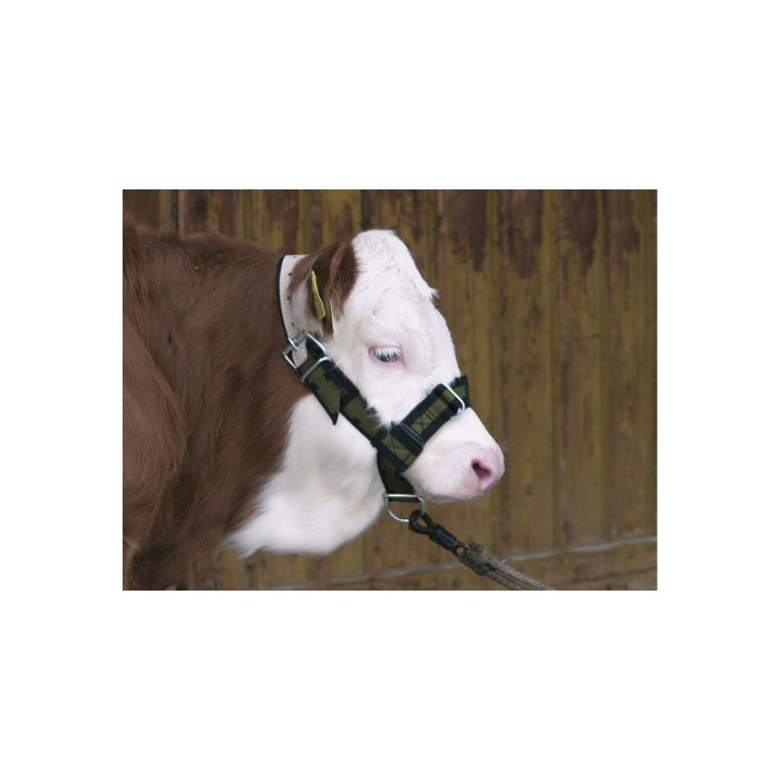 Capastru bovine Kerbl [2]