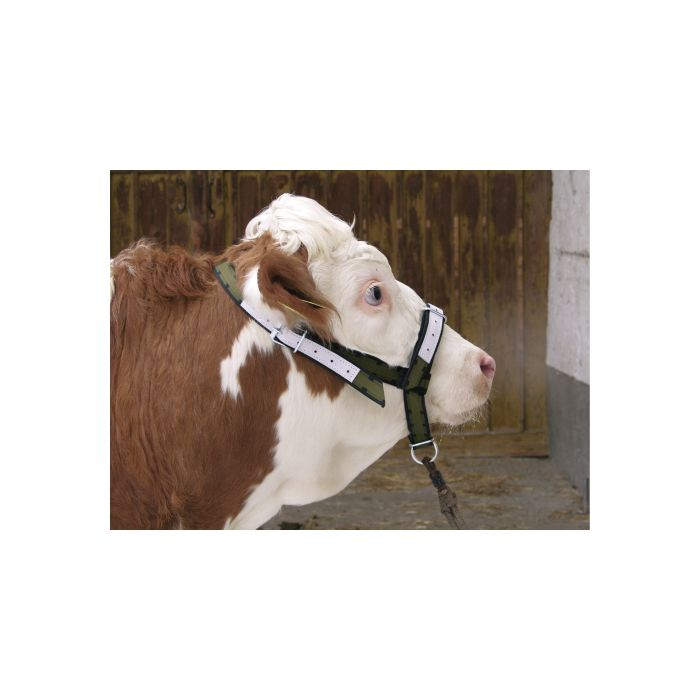 Capastru bovine Kerbl [1]