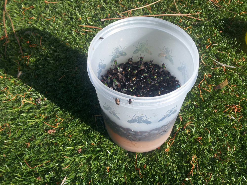 Capcana pentru muste cu atractant Fly Catcher [3]