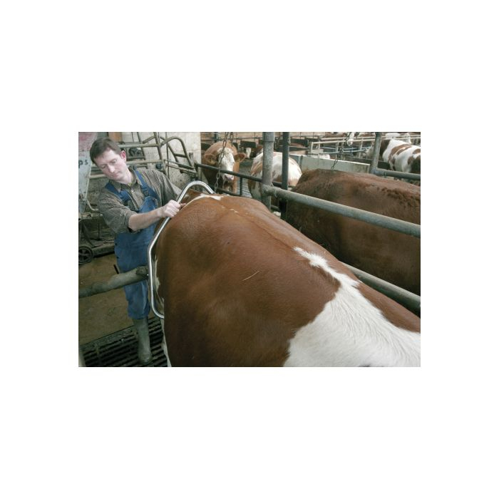 Dispozitiv de contentie bovine Kerbl [2]