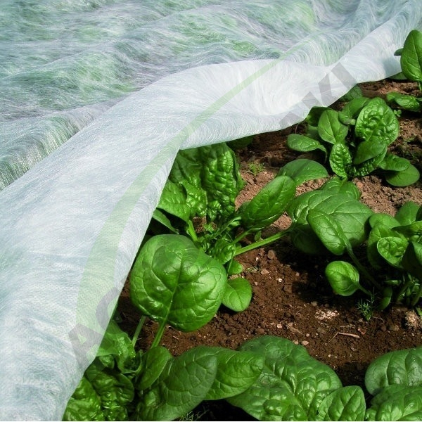 Folie microporoasă (17g/m²) 2*10M [2]