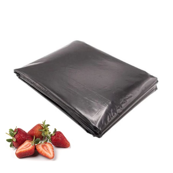 FOLIE NEAGRĂ UV GĂURITĂ - CĂPȘUNI [2]