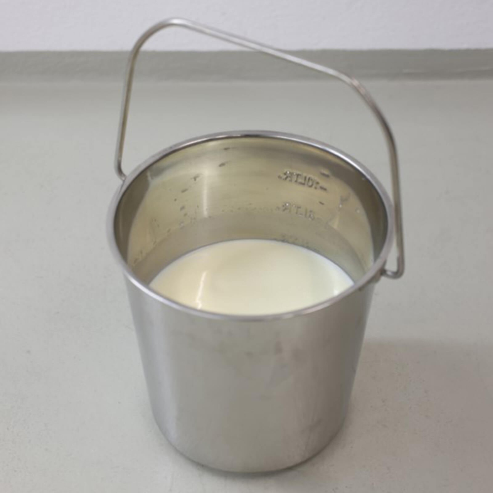 Galeata Kerbl din otel inoxidabil - 8,5 litri [4]