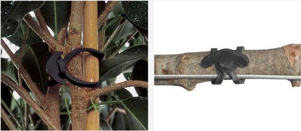 Guma de Legat Elastica 5 cm - 1 kg, (cca. 800 buc) [3]