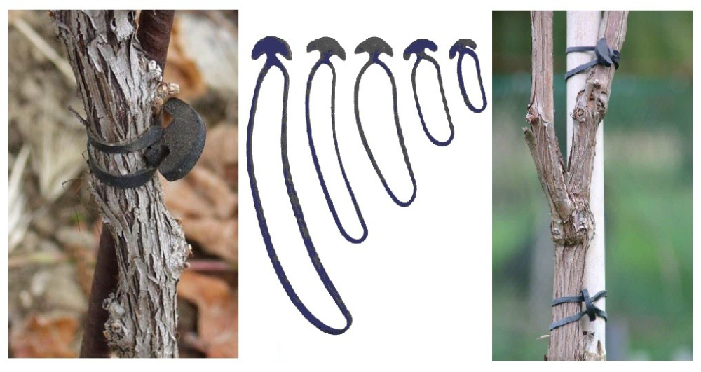 Guma de Legat Elastica 5 cm - 1 kg, (cca. 800 buc) [2]