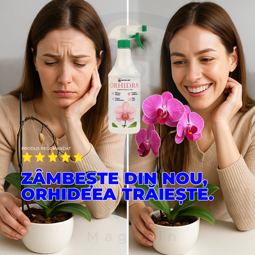 Orhidra – Îngrășământ Bio pentru Orhidee, Tratament pentru Rădăcini și Frunze [6]