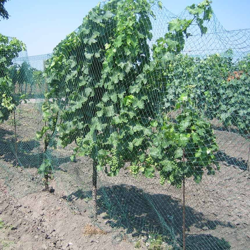 Plasa Anti-pasari, anti-grindina [3]