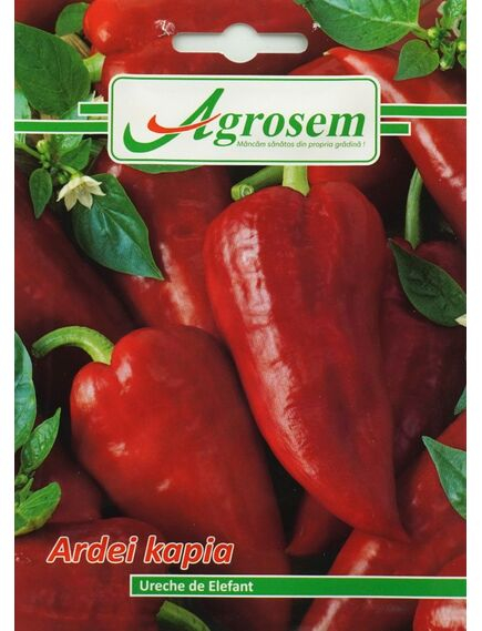 Seminte Ardei Ureche de Elefant 0.7 GR [1]