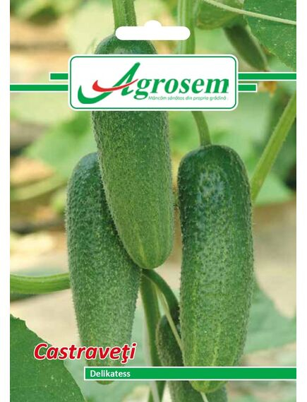 Seminte Castraveti DELIKATESS - 3GR [1]