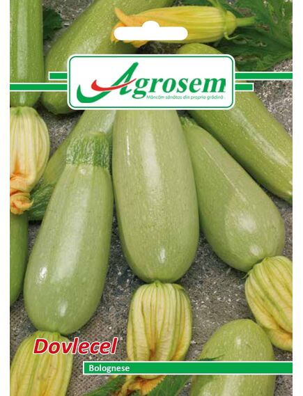 Seminte Dovlecel BOLOGNESE 4GR [1]