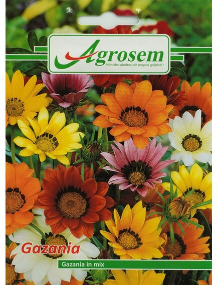 Seminte Flori GAZANIA MIX 0,1 gr [1]