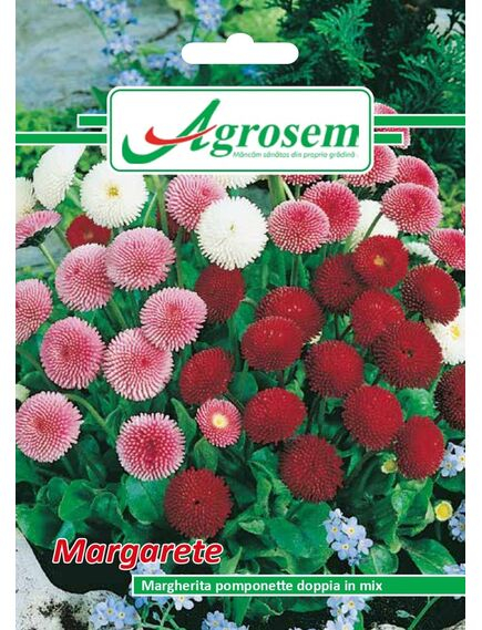 Seminte Flori MARGARETE 0,2 gr [1]