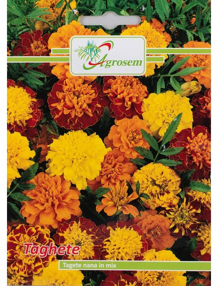 Seminte Flori TAGHETE NANA MIX 1 gr [1]