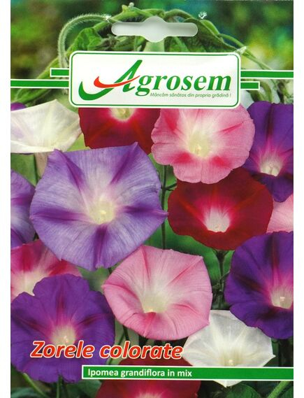 Seminte Flori Zorele Colorate 1 gr [1]